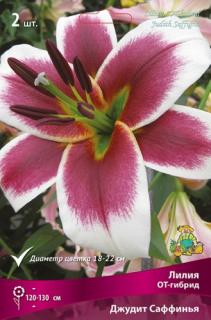 Джудит Саффинья 2 шт