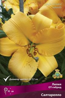 Лилия Салтарелло 2 шт