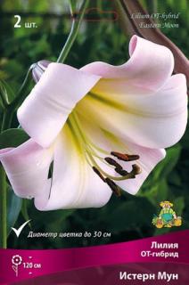 Истерн мун 2 шт