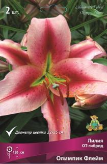 Олимпик флейм 2 шт