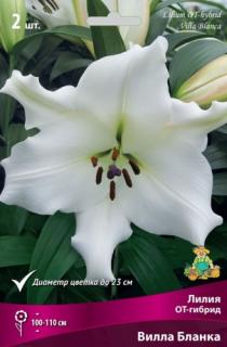 Вилла бланка 2 шт