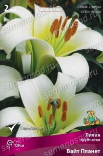 Вайт Планет 2шт