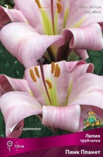 Пинк Планет 2 шт