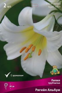 Ригейл Альбум 2 шт