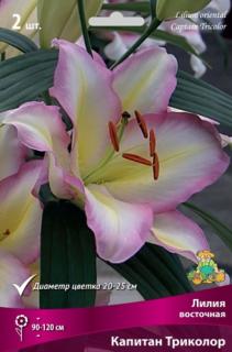 капитан триколор 2 шт