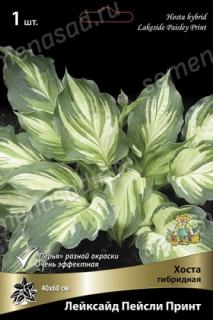 Лейксайд Пейсли Принт