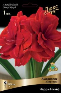 Амариллис махровый Черри Нимф