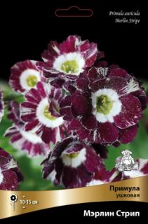 Мэрлин Стрип