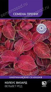 Корал вельвет