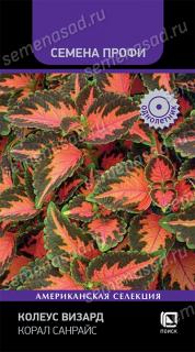 Корал Санрайз