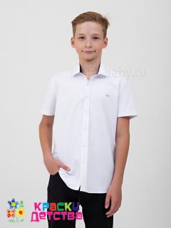 белый