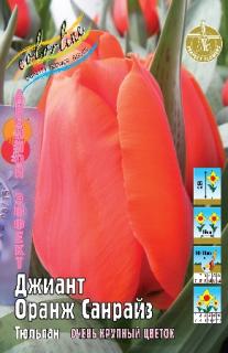 3 шт