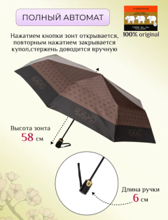 КОРИЧНЕВЫЙ