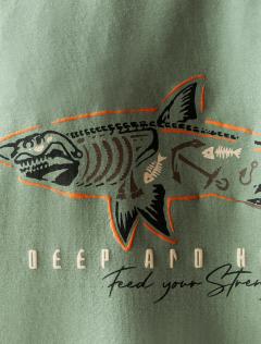 св.оливковый_shark