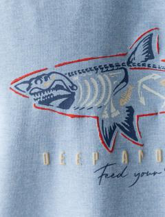 голубой меланж_shark