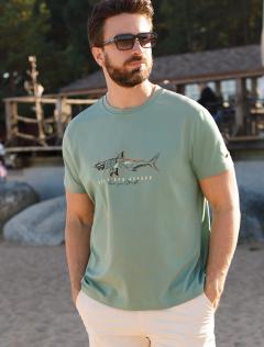 Футболка — св.оливковый_shark