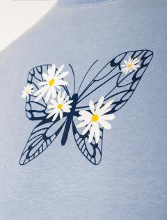 голубой_бабочка