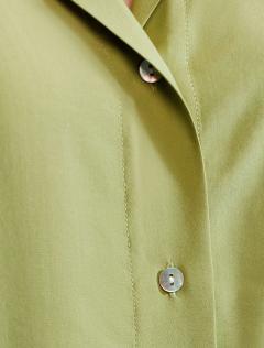 светло-оливковый	