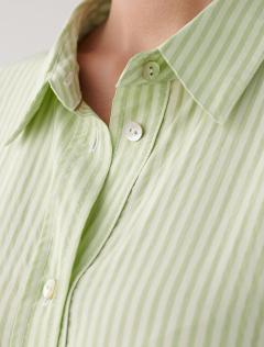 фисташковый	