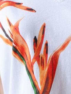 белый_тропический цветок