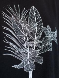 черный_тропики