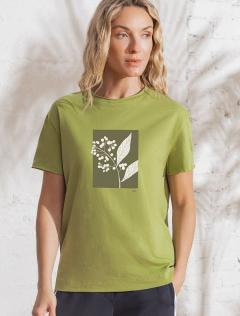  фисташковый_ветка