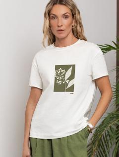 молочный_ветка