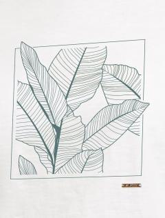 молочный_листья