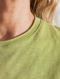  фисташковый_ветка