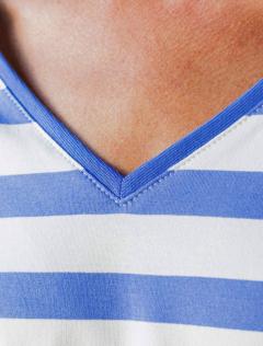 василек-белый