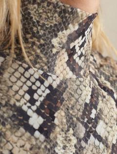 коричневый-бежевый змея