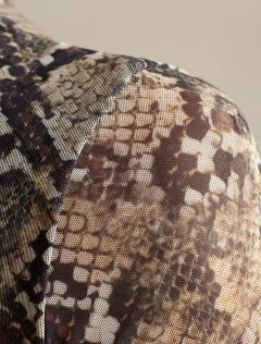 коричневый-бежевый змея