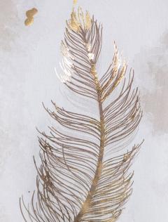 белый-черный_перо