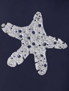 т.синий_звезда